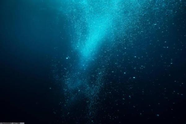 体育培训场馆选择：如何找到合适的地方？(图1)